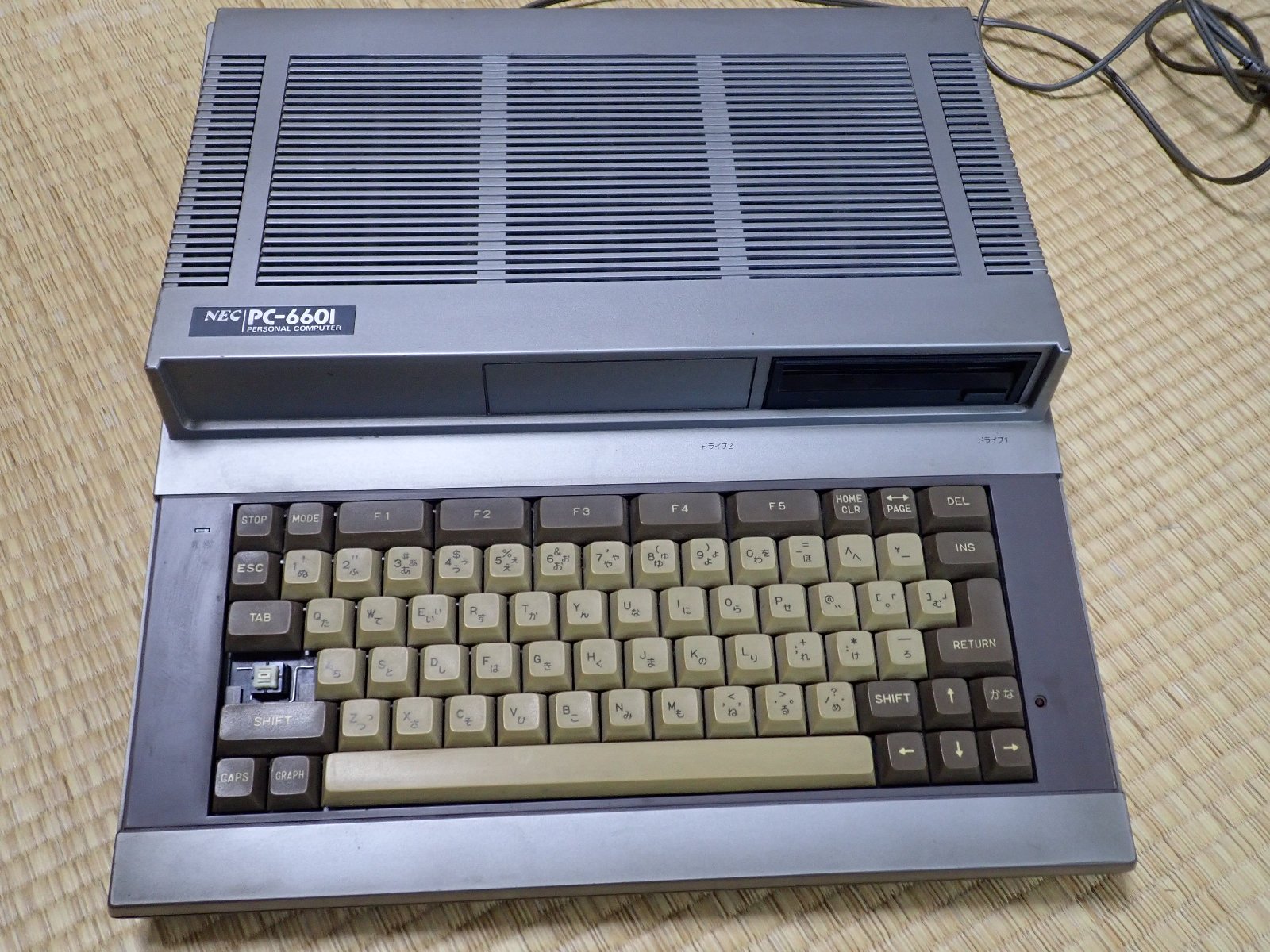 PTG55825.jpg
