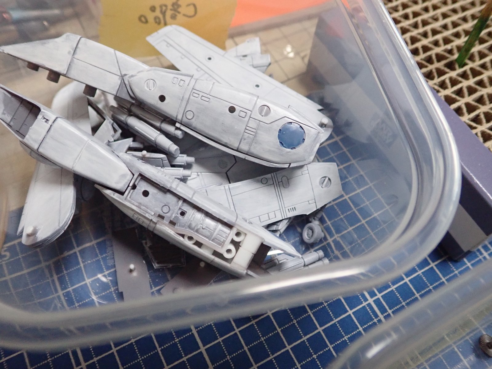 PTG58458.jpg